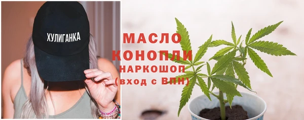 тгк Богородицк