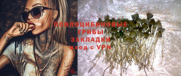 тгк Богородицк