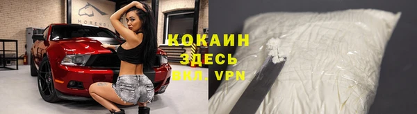 тгк Богородицк