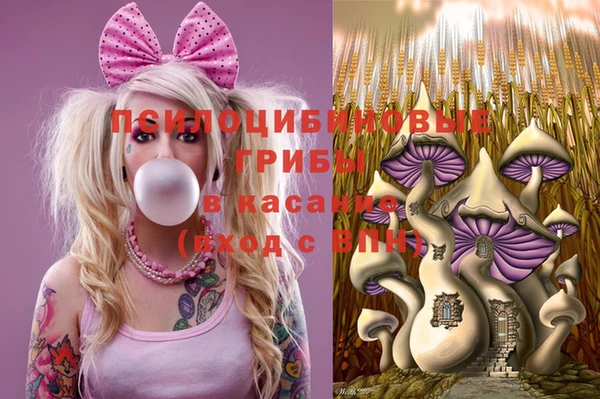 MESCALINE Богородск
