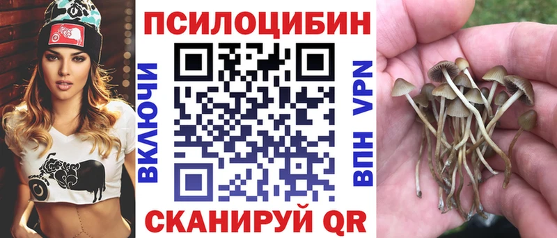 Галлюциногенные грибы Cubensis  Сретенск 
